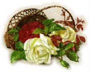 red-white-roses-basket.jpg